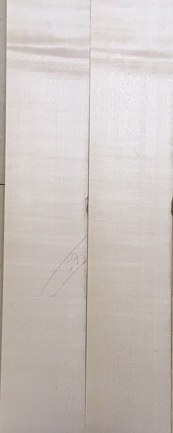 WhatsApp Image 2021-03-30 at 14.15.43.jpeg